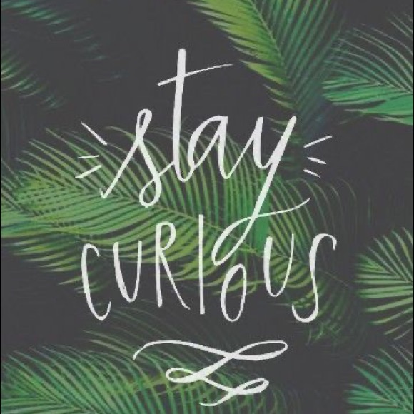 Meet your Posher, Emma - Picture 1 of 1